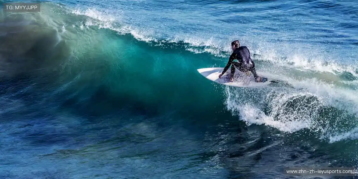 📱弹幕狂欢,实时互动!你的声音,让直播更有温度!